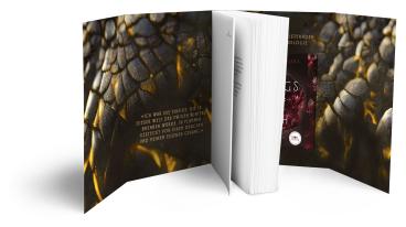 Moon Notes, Jana Schikorra, Moon Notes: Wings of Ash 1. Schlafende Drachen 