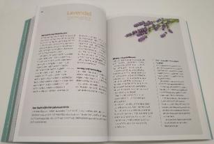 Franziska Rubin: 10 Kräuter gegen 100 Krankheiten 