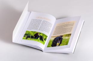 Nicole Brinkmann: Nähe und Distanz in der Hundeerziehung 