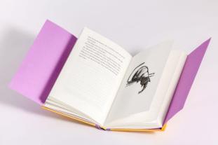 Verena von Koskull, Barbara Capponi, Andrea Ferolla: So erziehst du deinen Menschen 