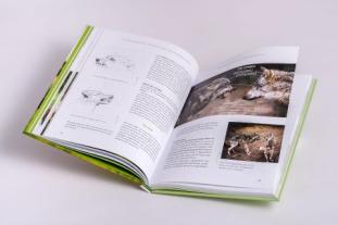 Daniel Joeres: Artgerechte Hundeerziehung 