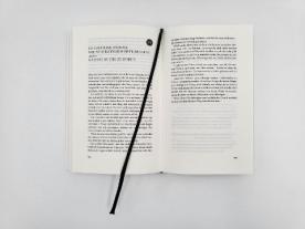 Anja Lerz, Ursula Pesch, Brianna Wiest: 101 Essays, die dein Leben verändern werden 