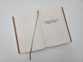 Stephan Kleiner, Al Pacino: Sonny Boy 