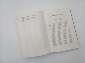 Lena Falkenhagen, Thomas Finn: Ruinen der Elfen 