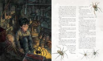 Jim Kay, Klaus Fritz, J.K. Rowling, Joanne K. Rowling: Harry Potter und der Stein der Weisen (Schmuckausgabe Harry Potter 1) 