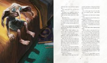 Jim Kay, Klaus Fritz, J.K. Rowling, Joanne K. Rowling: Harry Potter und die Kammer des Schreckens (Schmuckausgabe Harry Potter 2) 