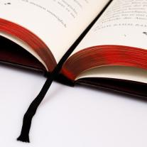 Carissa Broadbent, Kristina Flemm, Heike Holtsch: Six Scorched Roses (Crowns of Nyaxia) 