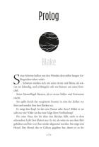 Kerstin Fricke, Lauren Palphreyman: The Night Prince (Wolf King 2) 