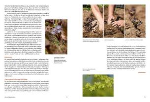 Pro Specie Rara, Verein ARCHE NOAH, Andrea Heistinger: Handbuch Samengärtnerei 