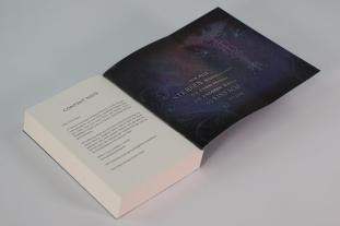 Nina Scheweling: Academy of Lies (Band 1) - Anatomie einer Verschwörung 