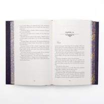 Michaela Kolodziejcok, Stacia Stark: Kingdom of Lies 