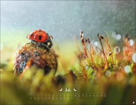 Vadim Trunov: Vadim Trunov: Märchenhaftes Waldleben Posterkalender 2026 