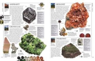 Karin Koch, DK Verlag, Ronald L. Bonewitz, Stephan Matthiesen: Steine & Mineralien 