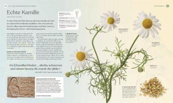 Agnes Pahler, DK Verlag, Dr. Ross Bayton, Ross Bayton, Sonya Patel Ellis, Peter Marren, Michael Scott: Heilpflanzen 