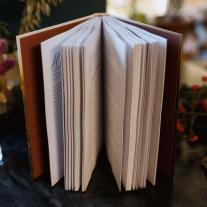 Adele Jabs: Healing - Aktiviere deine Selbstheilungskräfte und transformiere dein Leben! Innere Heilung durch Schamanismus und Medialität 