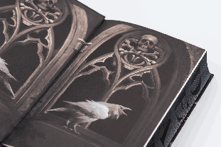 Julia Schwenk, S. A. Barnes: Death's Daughter 