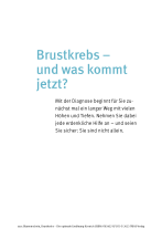 Birgit Blumenschein, Christine Reudelsterz: Brustkrebs - Die optimale Ernährung für mich 