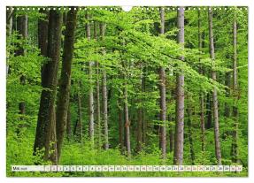 CALVENDO, Christian Horstkötter: Hegau-Landschaften (Wandkalender 2026 DIN A3 quer), CALVENDO Monatskalender 