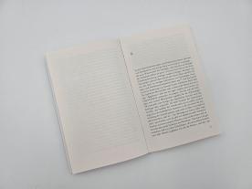 Gisela Uellenberg, Thomas Meyer, Hannah Arendt: Macht und Gewalt 