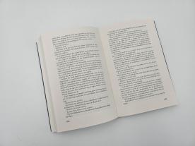 Richard Schwartz: Die Rovan-Intrige 