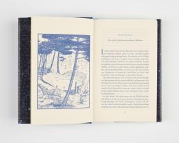 Michael Ende: Momo 