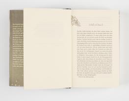 Julia Dippel: Izara 4: Verbrannte Erde 
