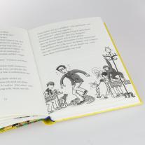 Margit Auer, Nina Dulleck: Die Schule der magischen Tiere 7: Wo ist Mr. M? 
