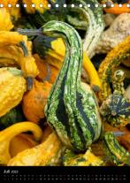 Joachim Barig: Kürbis: gesund · schmackhaft · dekorativ (Tischkalender 2023 DIN A5 hoch) 
