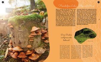 Moritz Wildenauer, Magdalena Wurth: Pilzgeflüster 