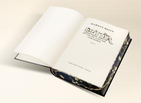 Max Meinzold, Markus Heitz: Irida 1. Irida und die Stadt der Geheimnisse 