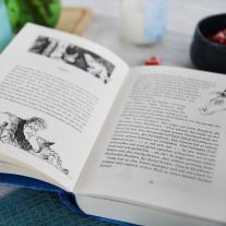 Cornelia Funke: Drachenreiter 3. Der Fluch der Aurelia 