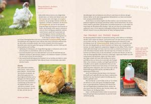 Katrin Sewerin: Hilfe, mein Huhn niest! 