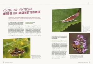 Elke Schwarzer: Richtig gute Pflanzen für Insekten 