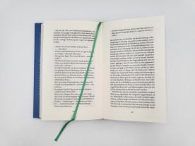 Lauren Oyler: Fake Accounts 