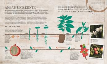 Anette Moldvaer, DK Verlag: Das Kaffee-Buch 