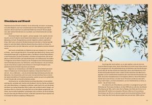 Sami Tamimi, Tara Wigley, DK Verlag: Palästina 