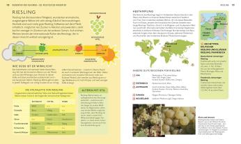 Marnie Old, DK Verlag: Workshop Wein 