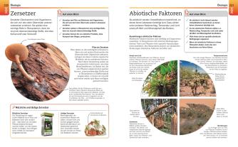 DK Verlag: Visuelles Wissen. Biologie 