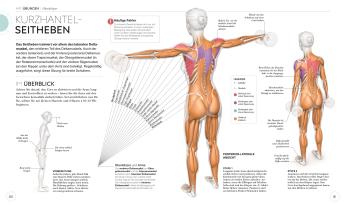Anke Wellner-Kempf, DK Verlag, Ingrid S. Clay: HIIT - Die Anatomie verstehen 