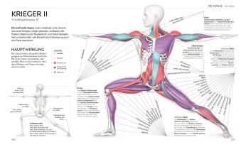 Wiebke Krabbe, Silke Schütze, DK Verlag, Ann Swanson: Yoga verstehen - Die Anatomie der Yoga-Haltungen 