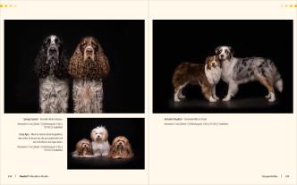 Regine Heuser, Heuser Regine: Hunde-Shooting - Fotografieren mit „Wau-Effekt“ 