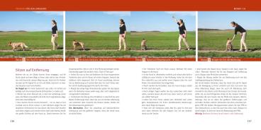 Katharina Schlegl-Kofler: Welpen-Erziehung 