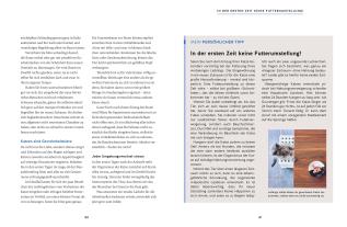 Carmen Schell: Wie wir Katzen glücklich machen 