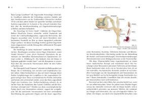 Gerlinde Debus, Meike Dr. med.  Scheuplein, Meike Dr. med. Scheuplein, Gerlinde Prof. Dr. med.  Debus, Gerlinde Prof. Dr. med. Debus, Meike Scheuplein: NeuroIntegrative Medizin: Durch körpereigene Intelligenz die Selbstheilungskräfte aktivieren 