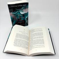 Lucia Sterling: The waves that swept us away (Lifeguard 2) 