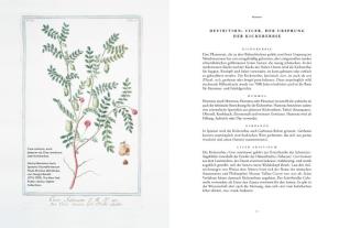 Dan Alexander, Orly Peli-Bronshtein, Ariel Rosenthal: Auf den Spuren des Hummus 