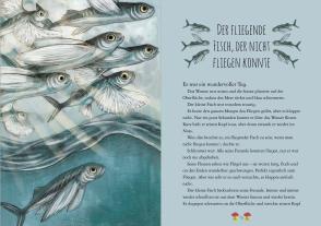 Chae Strathie, Erin Brown: Wunderwelt der Tiere im Meer 