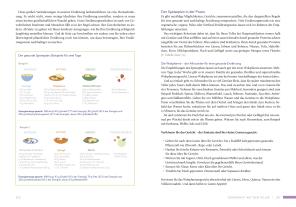 Jörn Dr. med. Klasen, Fionna Dr. Zöllner, Jörn Klasen, Fionna Zöllner: Gesunde Ernährung heute und morgen 