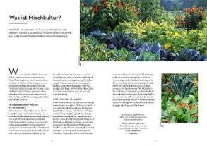 Ortrud Grieb: Wer kann mit wem im Beet? 