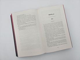 Franzi Berg, Penelope Douglas, Dorothee Witzemann: Nightfall - Geheime Begierde 